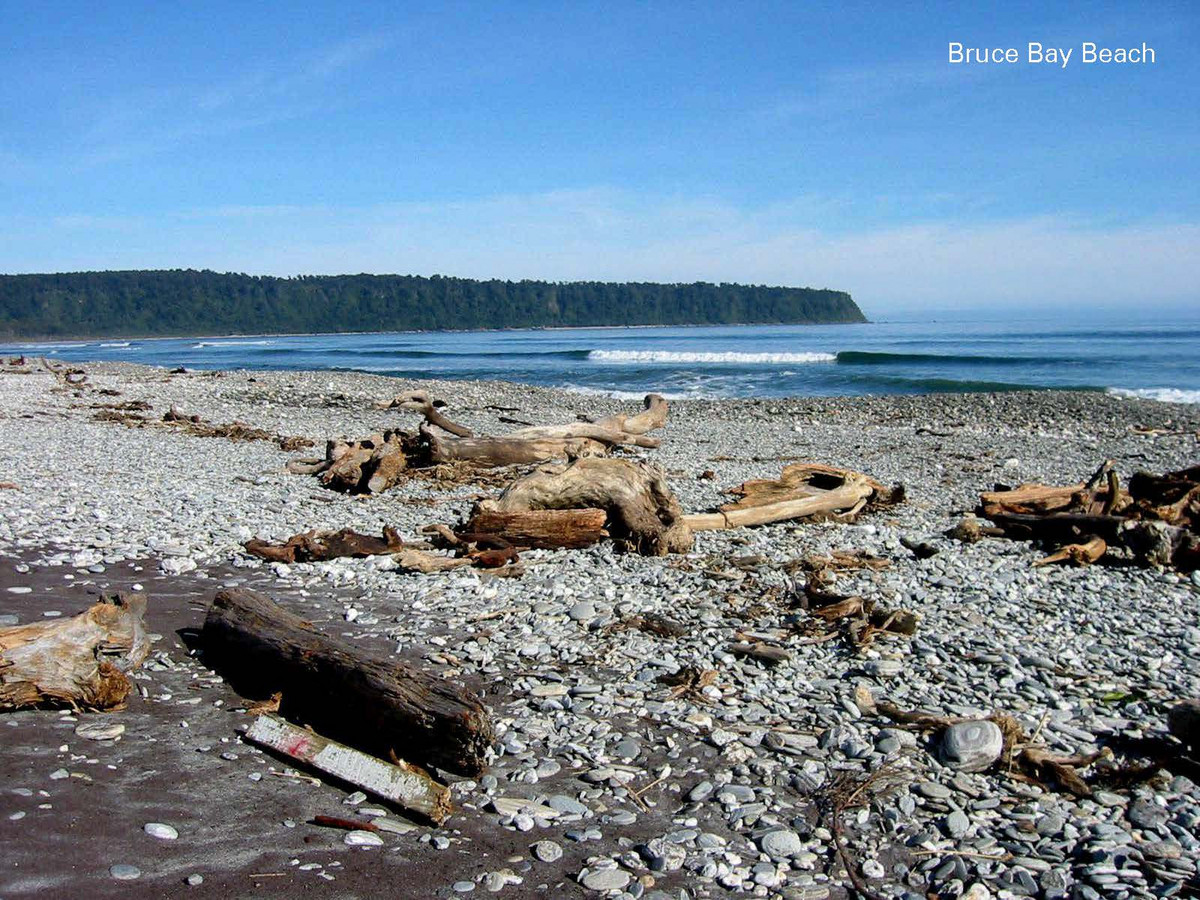 Bruce Bay/Mahitahi, Bruce Bay image 9 Cowdy Real Estate