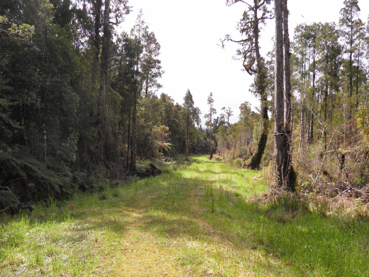 Bruce Bay/Mahitahi, Bruce Bay image 5 Cowdy Real Estate